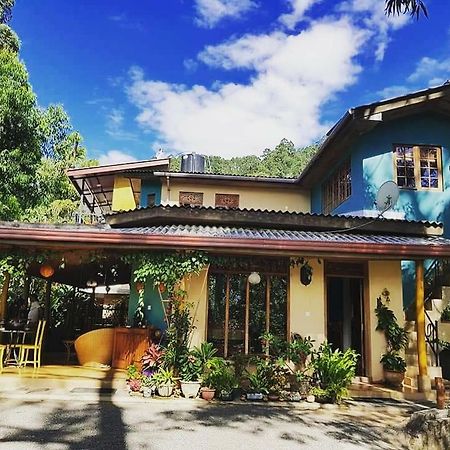 Waterfalls Homestay เอลลา ภายนอก รูปภาพ