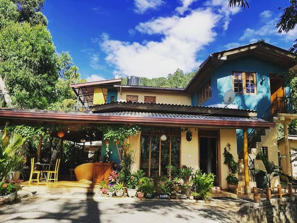 Waterfalls Homestay เอลลา ภายนอก รูปภาพ