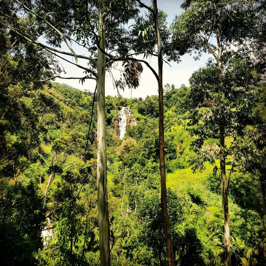 Waterfalls Homestay เอลลา ภายนอก รูปภาพ